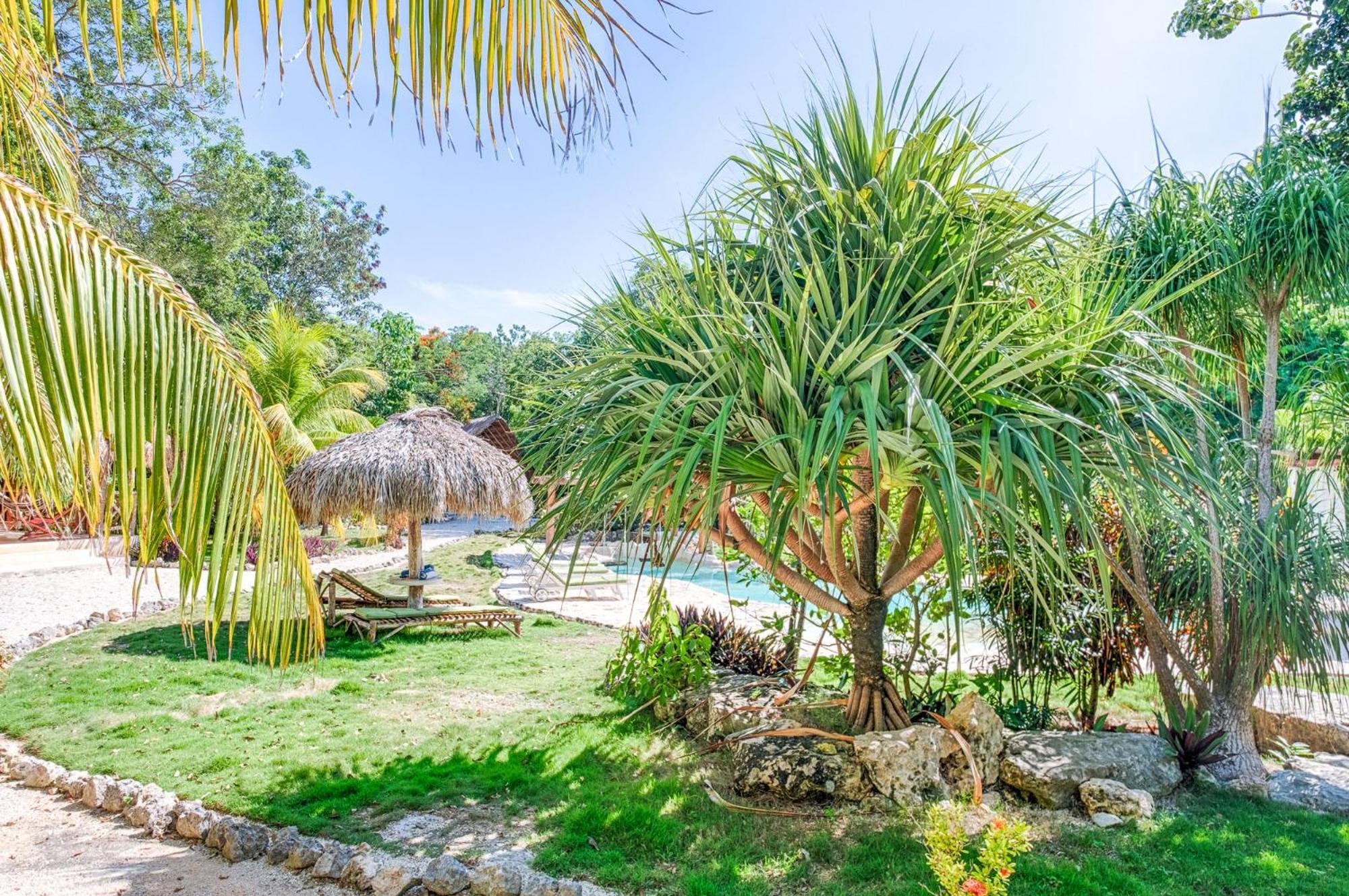Villa Morena Boutique Hotel Ecoliving Akumal Exterior foto